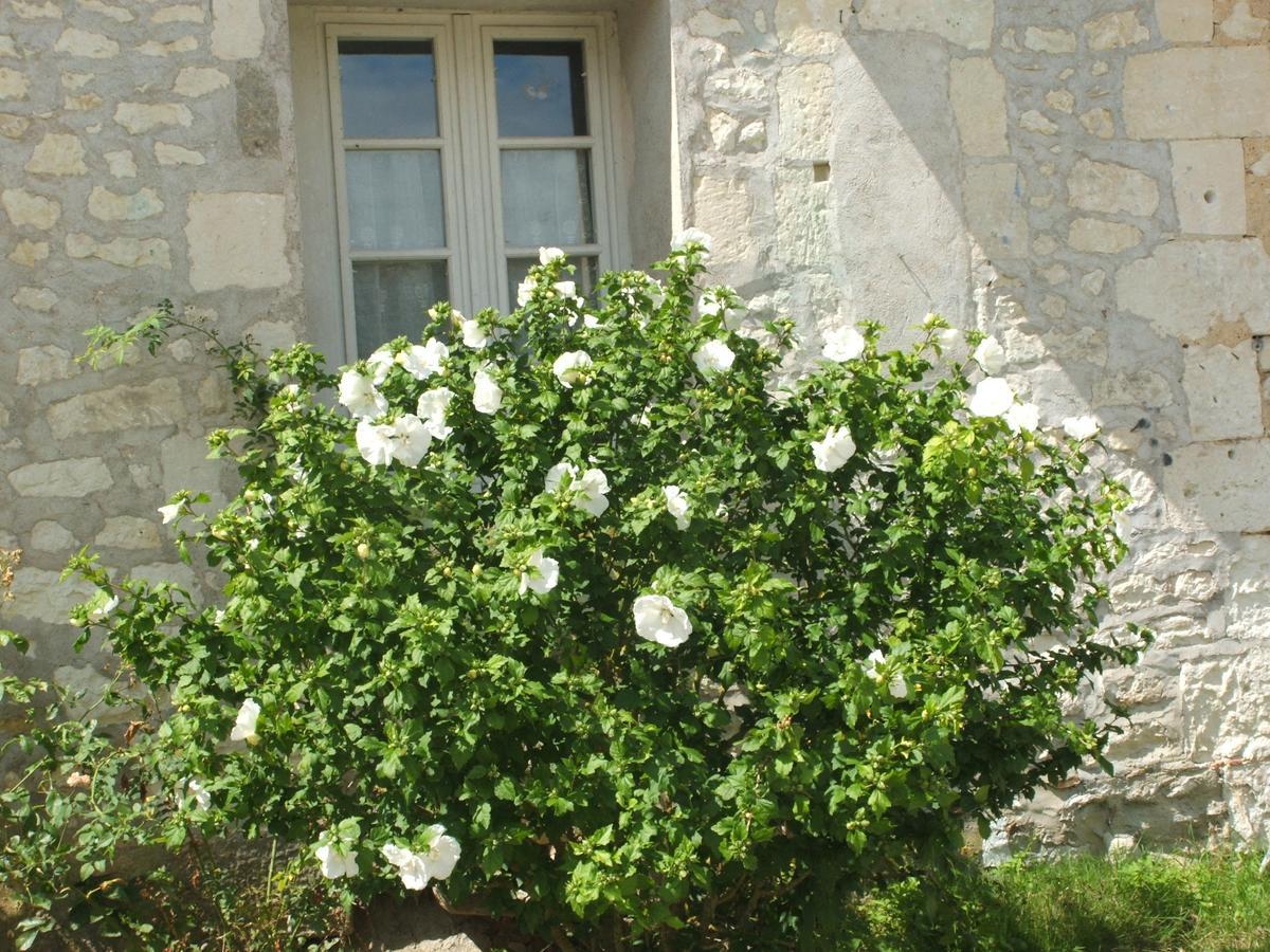 Manoir De La Rousselliere Aparthotel Loches Buitenkant foto